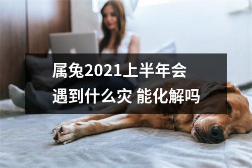 属兔2025上半年会遇到什么灾能化解吗