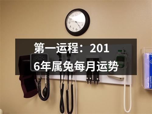 第一运程：2016年属兔每月运势