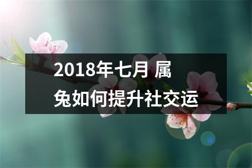 2018年七月属兔如何提升社交运