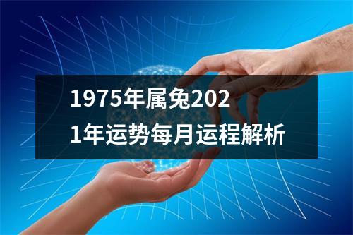 1975年属兔2025年运势每月运程解析