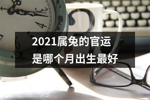 2025属兔的官运是哪个月出生好