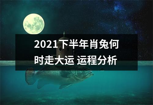 2025下半年肖兔何时走大运运程分析