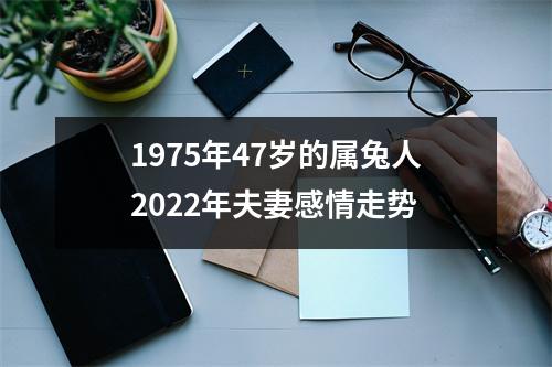 1975年47岁的属兔人2025年夫妻感情走势