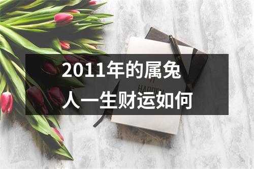 <h3>2011年的属兔人一生财运如何