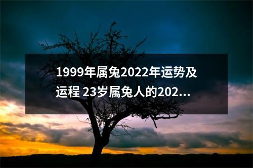 1999年属兔2025年运势及运程23岁属兔人的2025年每月运势详解