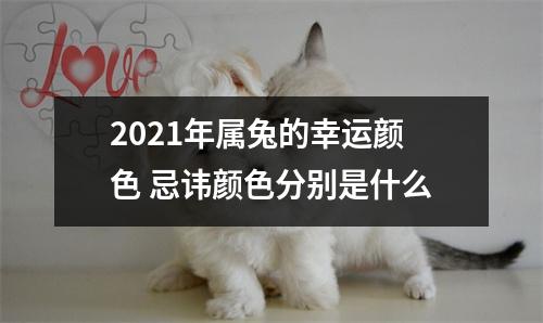 2025年属兔的幸运颜色忌讳颜色分别是什么