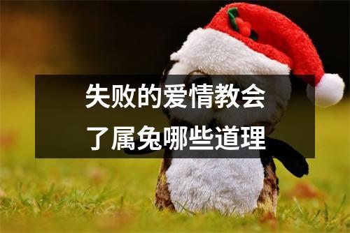 失败的爱情教会了属兔哪些道理