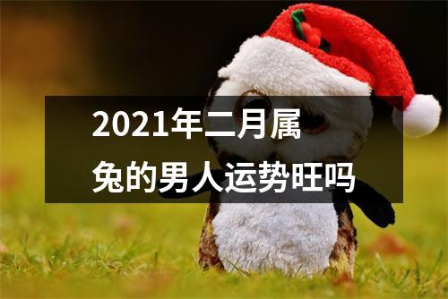 2025年二月属兔的男人运势旺吗