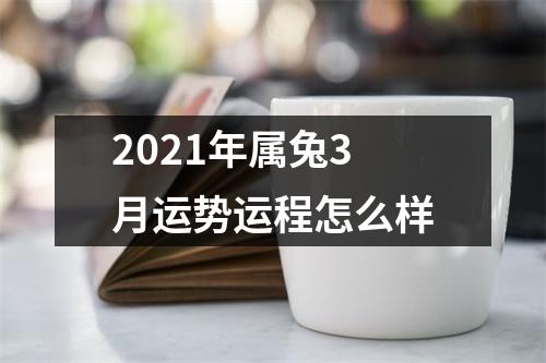 2025年属兔3月运势运程怎么样