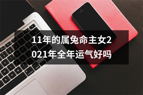 11年的属兔命主女2025年全年运气好吗