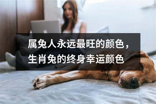 <h3>属兔人永远旺的颜色，生肖兔的终身幸运颜色