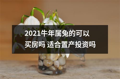<h3>2025牛年属兔的可以买房吗适合置产投资吗