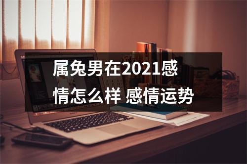 属兔男在2025感情怎么样感情运势