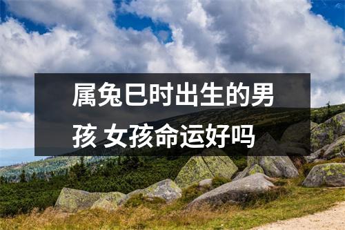 属兔巳时出生的男孩女孩命运好吗