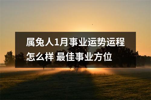 属兔人1月事业运势运程怎么样佳事业方位