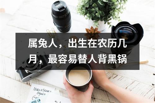 属兔人，出生在农历几月，容易替人背黑锅