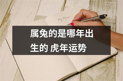 属兔的是哪年出生的虎年运势