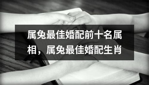 属兔佳婚配前十名属相，属兔佳婚配生肖