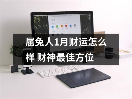 属兔人1月财运怎么样财神佳方位
