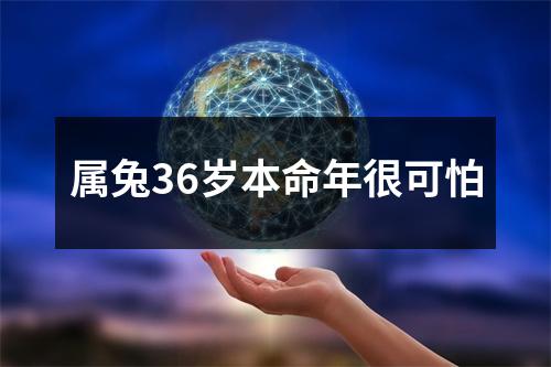 属兔36岁本命年很可怕