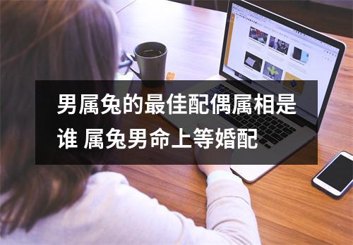 <h3>男属兔的佳配偶属相是谁属兔男命上等婚配