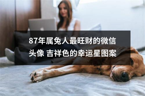 <h3>87年属兔人旺财的微信头像吉祥色的幸运星图案