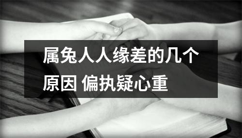 属兔人人缘差的几个原因偏执疑心重