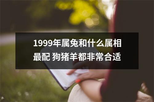 1999年属兔和什么属相配狗猪羊都非常合适