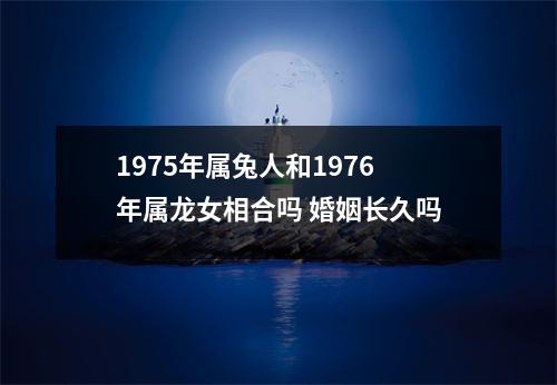 1975年属兔人和1976年属龙女相合吗婚姻长久吗