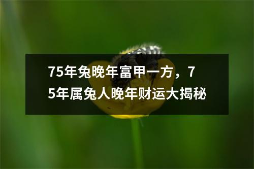 75年兔晚年富甲一方，75年属兔人晚年财运大揭秘