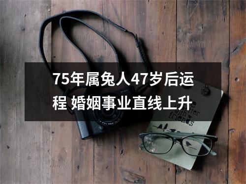 75年属兔人47岁后运程婚姻事业直线上升