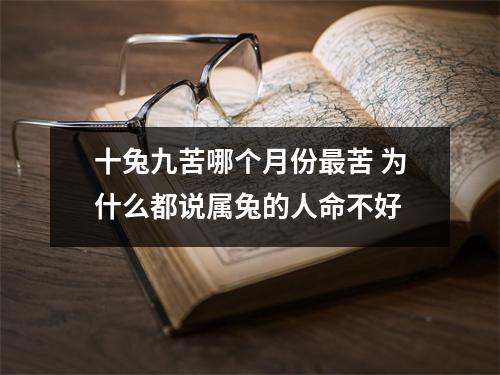 <h3>十兔九苦哪个月份苦为什么都说属兔的人命不好