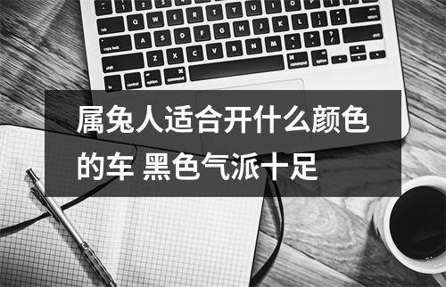 属兔人适合开什么颜色的车黑色气派十足