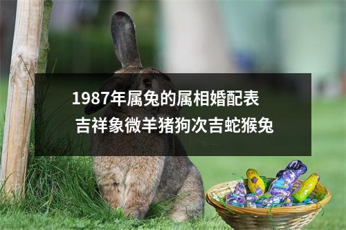 1987年属兔的属相婚配表吉祥象微羊猪狗次吉蛇猴兔