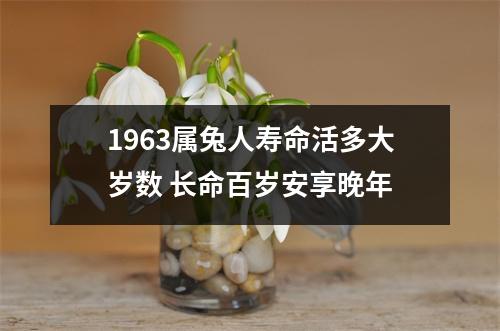 1963属兔人寿命活多大岁数长命百岁安享晚年