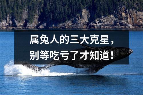 <h3>属兔人的三大克星，别等吃亏了才知道！