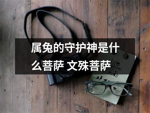 属兔的守护神是什么菩萨文殊菩萨