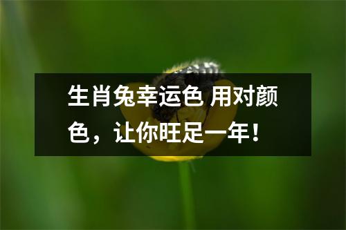 <h3>生肖兔幸运色用对颜色，让你旺足一年！