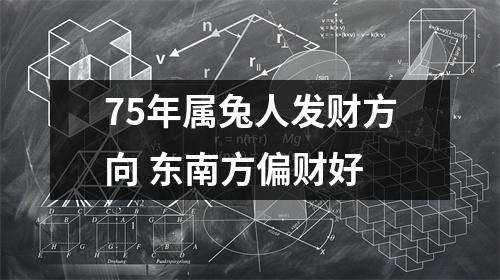 75年属兔人发财方向东南方偏财好