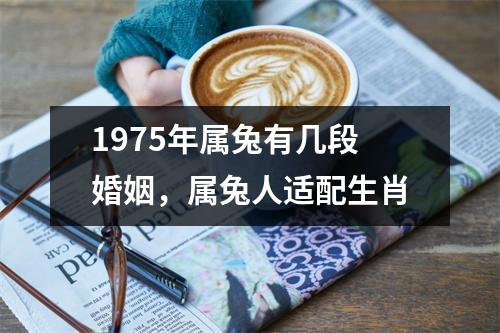 1975年属兔有几段婚姻，属兔人适配生肖