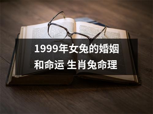 1999年女兔的婚姻和命运 生肖兔命理