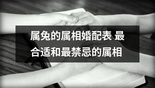 属兔的属相婚配表合适和禁忌的属相