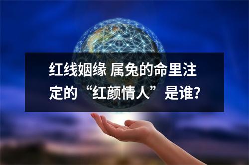 红线姻缘属兔的命里注定的“红颜情人”是谁？