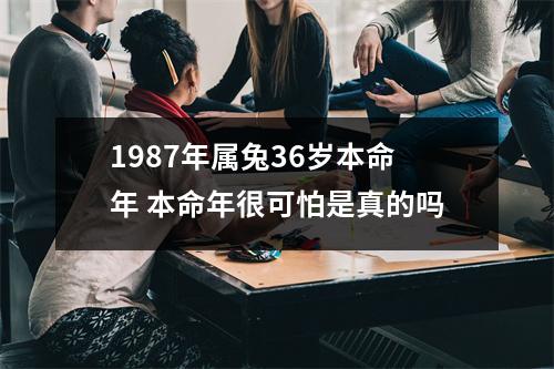 1987年属兔36岁本命年 本命年很可怕是真的吗