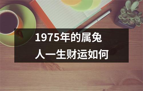 1975年的属兔人一生财运如何