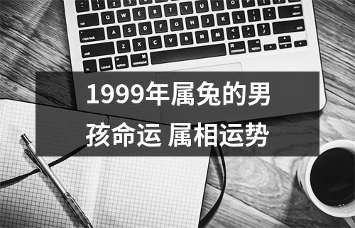 1999年属兔的男孩命运属相运势