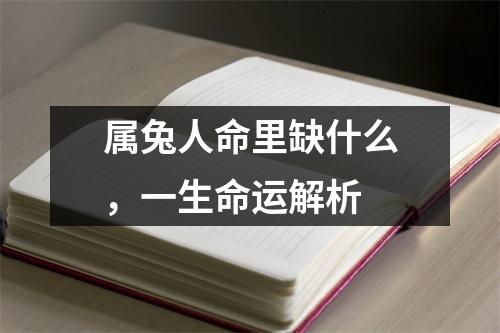 属兔人命里缺什么，一生命运解析