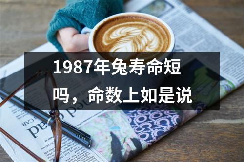 1987年兔寿命短吗，命数上如是说