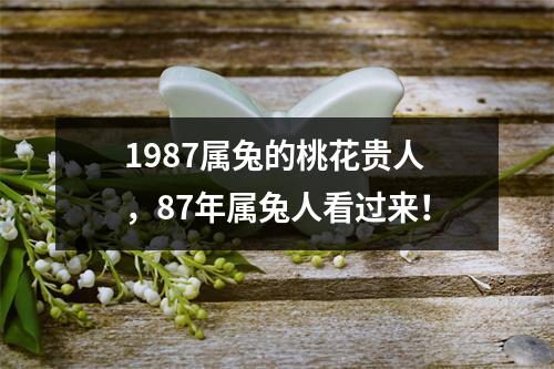 1987属兔的桃花贵人，87年属兔人看过来！