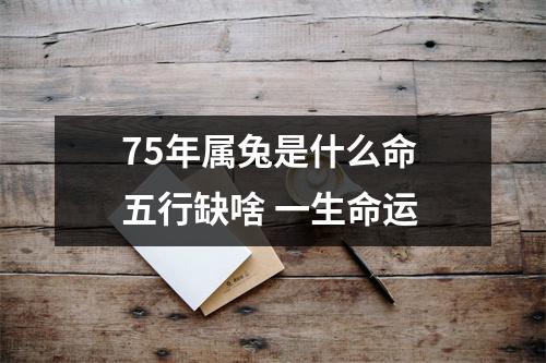 75年属兔是什么命 五行缺啥 一生命运